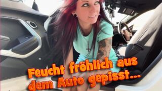 Am Straßenrand neben mein Auto gepisst [Laila Banx]